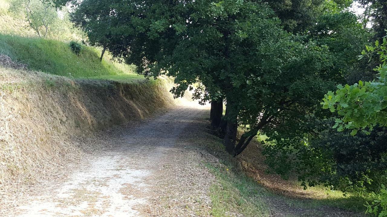 Agriturismo Le Querce Palaia Eksteriør bilde
